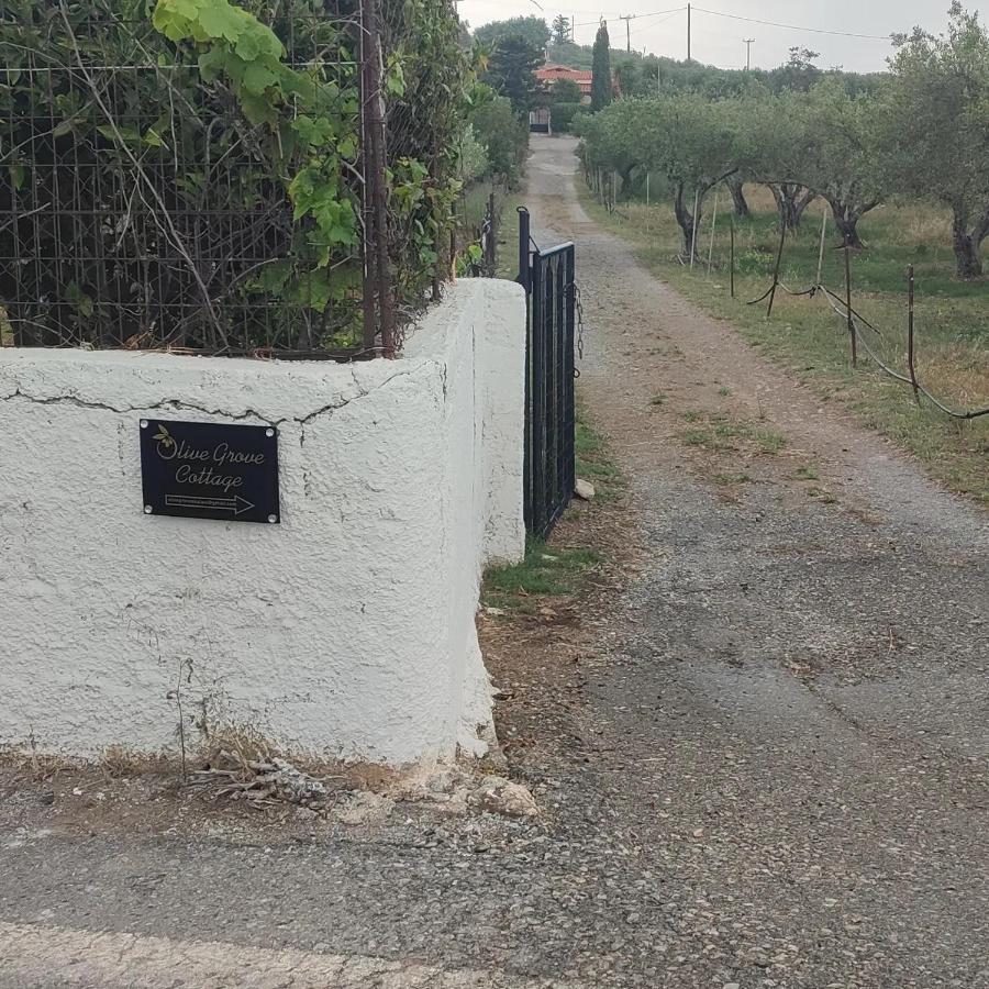 Olive Grove Cottage Skalani Knossós Exterior foto